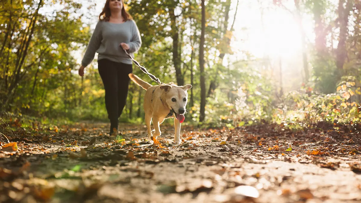 Frau spaziert mit Hund.