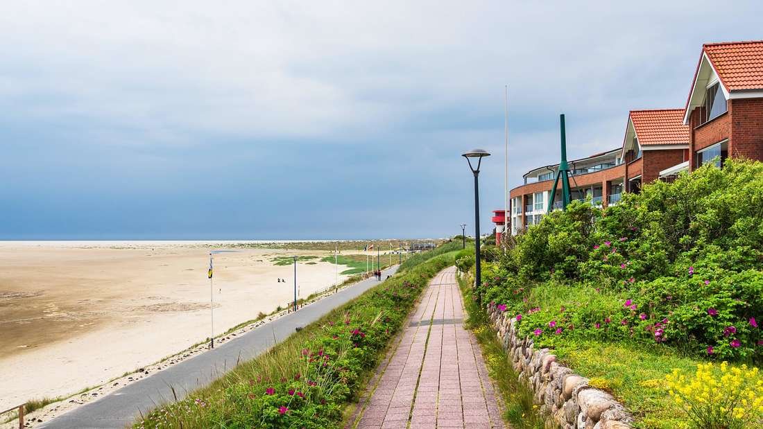 Nordsee Insel Amrum